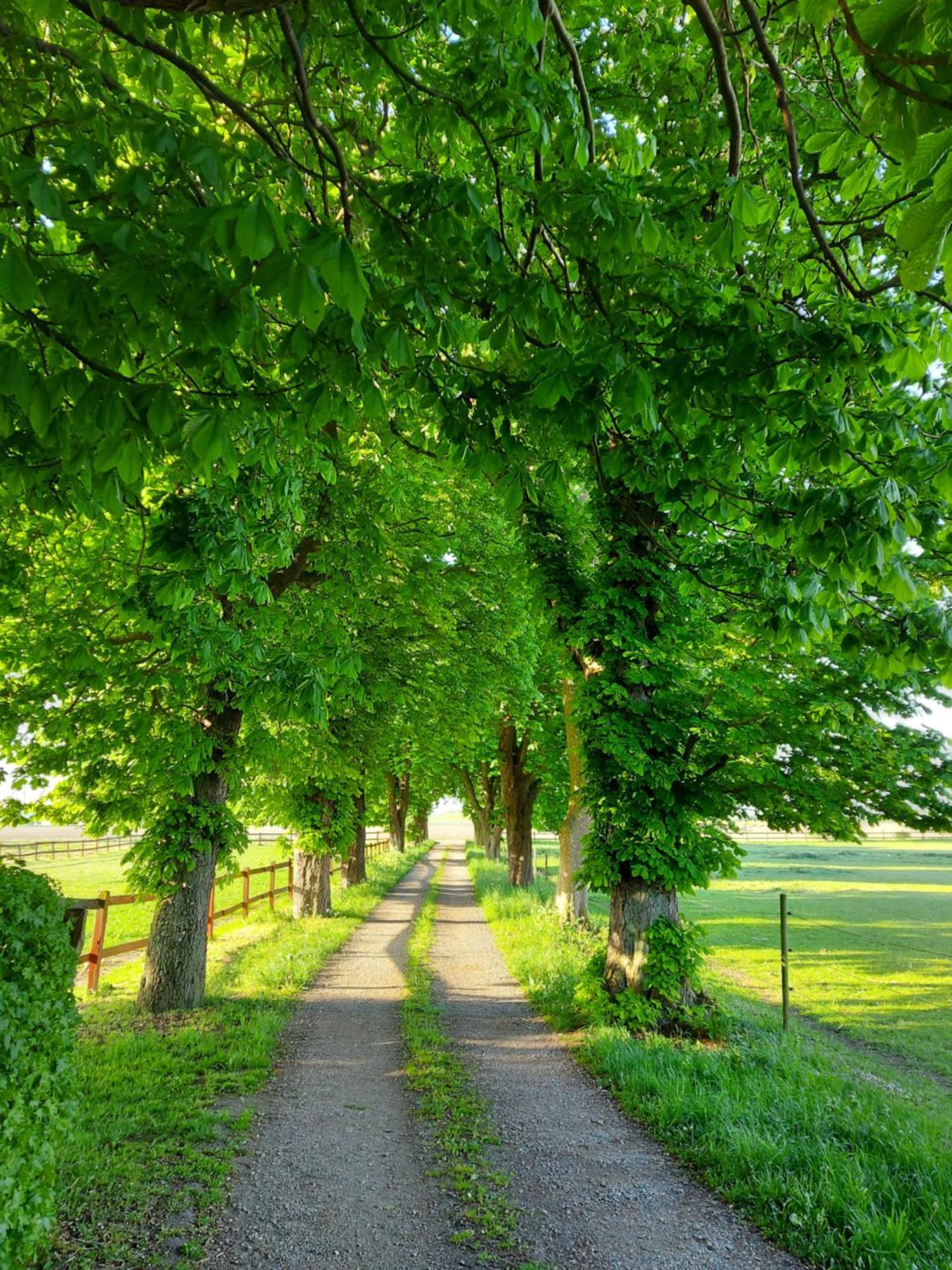 Lantligt Och Lugnt Boende Naera Natur Och Stad Svedala Екстериор снимка