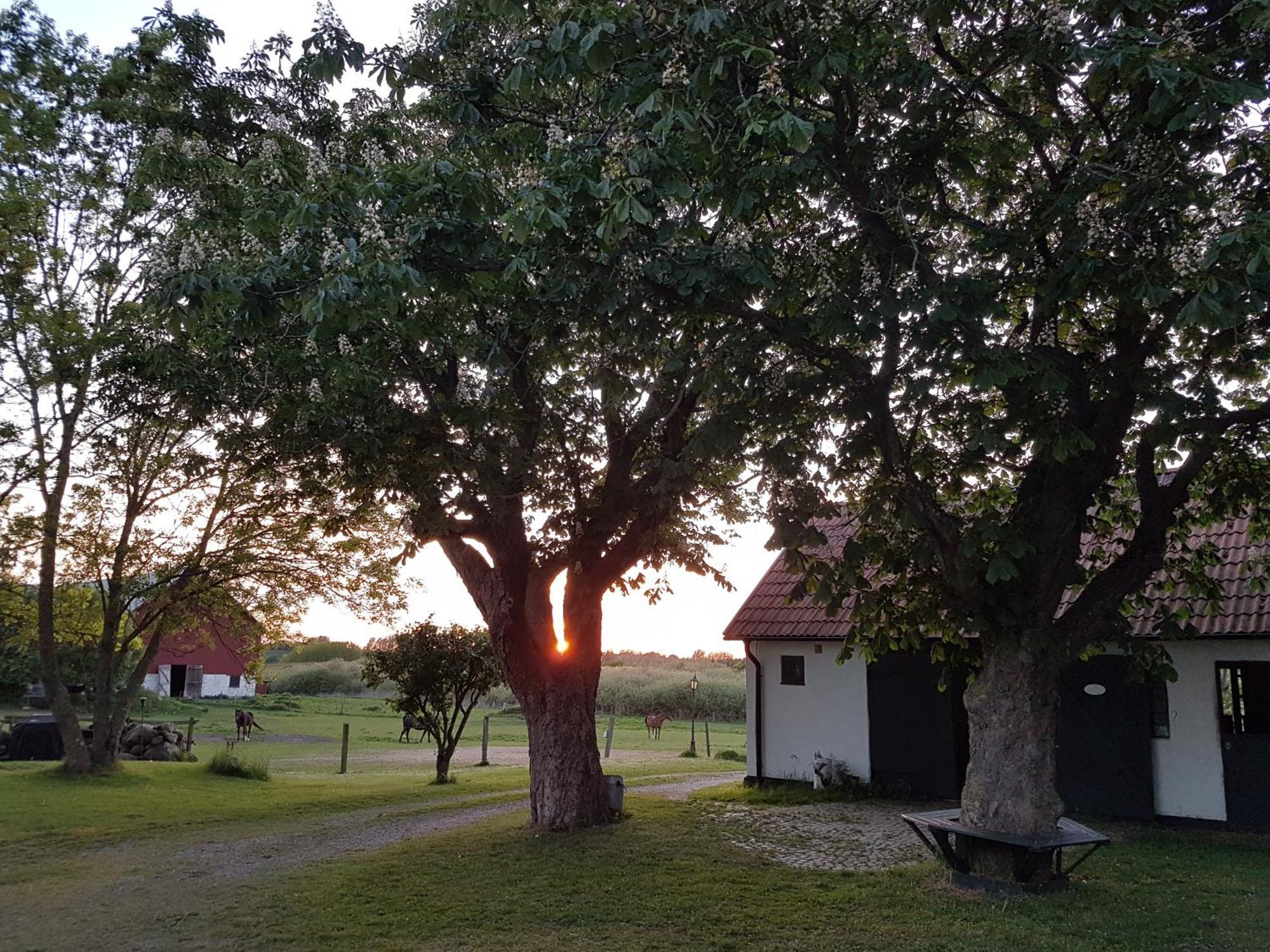 Lantligt Och Lugnt Boende Naera Natur Och Stad Svedala Екстериор снимка