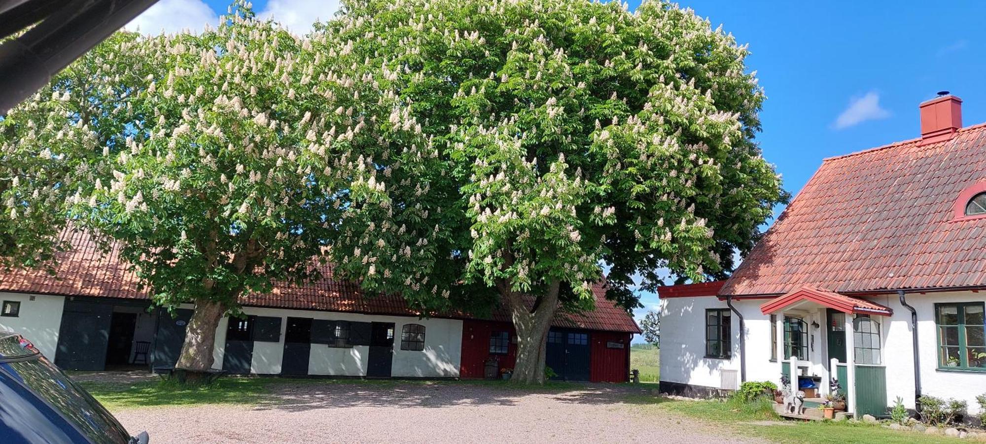 Lantligt Och Lugnt Boende Naera Natur Och Stad Svedala Екстериор снимка