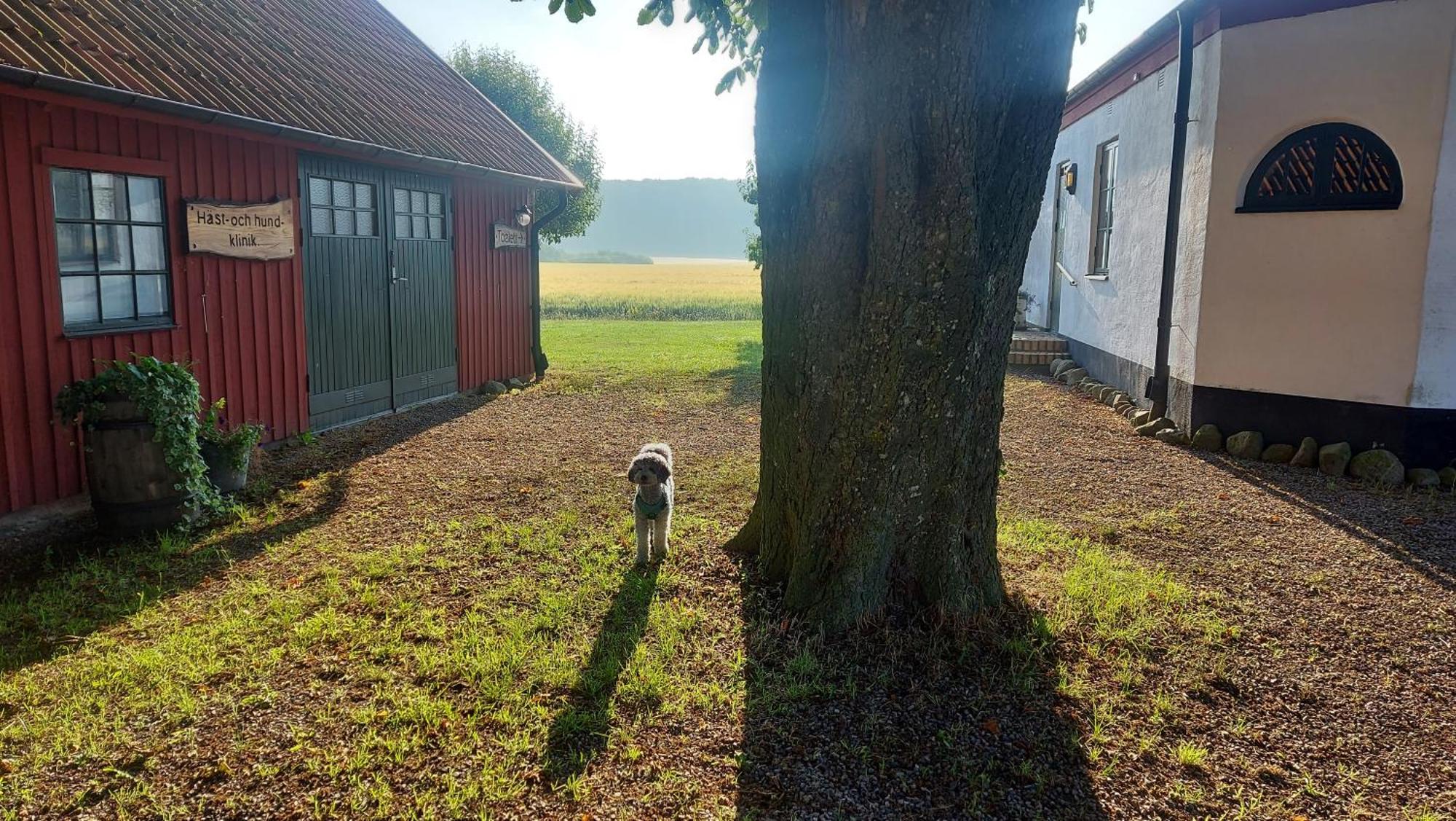 Lantligt Och Lugnt Boende Naera Natur Och Stad Svedala Екстериор снимка